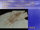 冀美版小學(xué)美術(shù)四下 10.地心游記 課件