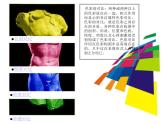 冀美版小学美术五下 1.色彩的对比 课件