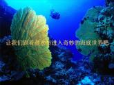 一年级下册美术课件－2.海底世界多奇妙｜岭南版