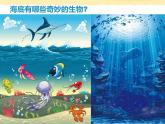 一年级下册美术课件－2.海底世界多奇妙｜岭南版