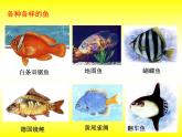 一年级下册美术课件－7.大鱼和小鱼｜岭南版