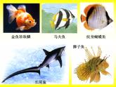 一年級下冊美術(shù)課件－7.大魚和小魚｜嶺南版