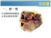 一年級下冊美術課件－8.小動物和媽媽｜嶺南版