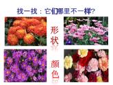 一年級下冊美術(shù)課件－14.押印的花紋｜嶺南版