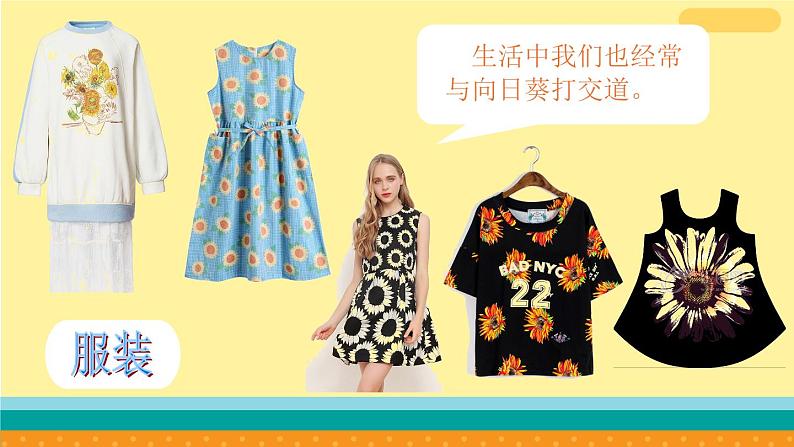 六年级下册美术课件-第10课   葵花朵朵 丨赣美版 （18张PPT）08