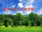 三年級(jí)下冊(cè)美術(shù)課件－13.春天的消息 ｜嶺南版