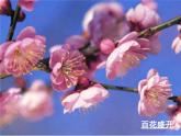 三年級(jí)下冊(cè)美術(shù)課件－13.春天的消息 ｜嶺南版
