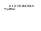 四年級(jí)下冊(cè)美術(shù)課件－14.成群的動(dòng)物 ｜嶺南版