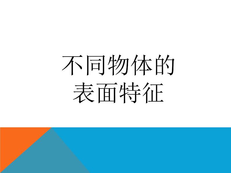 五年级下册美术课件－8.不同物象的表面特征 ｜岭南版01