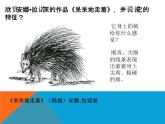 五年级下册美术课件－8.不同物象的表面特征 ｜岭南版