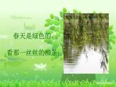 一年級(jí)下冊(cè)美術(shù)課件－6.春天的色彩｜蘇少版