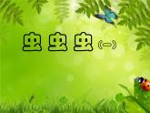 二年級下冊美術(shù)課件－14.蟲蟲蟲（一）｜蘇少版
