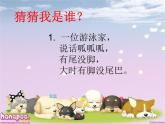 二年級(jí)下冊(cè)美術(shù)課件－4.動(dòng)物朋友（一）｜蘇少版
