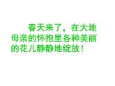 二年級(jí)下冊(cè)美術(shù)課件－6.花兒朵朵（一）｜蘇少版