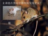 六年級下冊美術(shù)課件－6.向動物朋友學(xué)習(xí)｜蘇少版