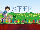 湘美版小學美術一下 17.地下王國 課件