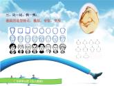 六年級下冊美術課件第7課 名人漫畫｜嶺南版 （11張PPT）