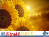 二年级下册美术课件－14夏日里 ｜广西版