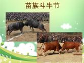 二年级下册美术课件－5斗牛赛马真热闹 ｜广西版