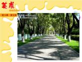 二年级下册美术课件－14夏日里 ｜广西版