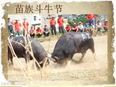 二年级下册美术课件－5斗牛赛马真热闹 ｜广西版