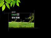 2保护水资源 课件