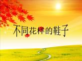 8不同花样的鞋 课件