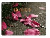 10风雨中 课件