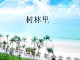 11树林里 课件