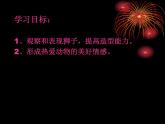 13威武的狮子 课件