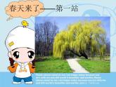 8春天在哪里 课件