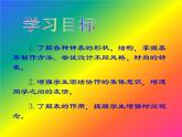 11小小钟表店 课件