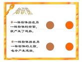 16遮遮擋擋 課件