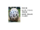 14 遠(yuǎn)古的恐龍 課件