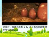 14 遠(yuǎn)古的恐龍 課件