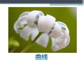 6摸一摸 畫一畫 課件
