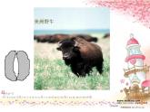 10腳印的聯(lián)想 課件