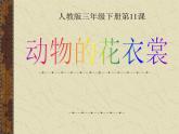 11 動物的花衣裳 課件