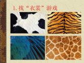 11 動物的花衣裳 課件