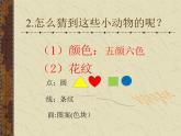 11 動物的花衣裳 課件