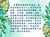 16《家鄉(xiāng)的橋和塔》 課件（含說課）