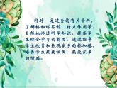 16《家鄉(xiāng)的橋和塔》 課件（含說課）