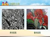 13吹塑紙版畫 課件