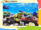 7色彩的情感 課件