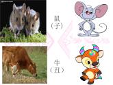 12十二生肖 課件