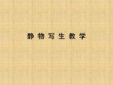 5靜物寫生 課件