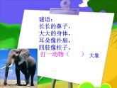 12可愛的動物 課件