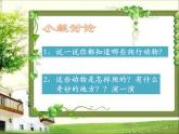 11奇妙的爬行 課件