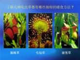 2吃蟲(chóng)草 課件