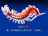 6節(jié)節(jié)蟲 課件